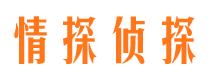 惠阳市私家侦探公司